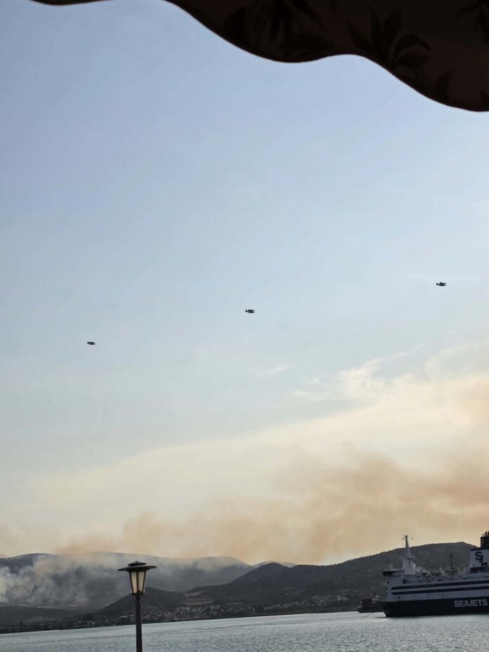 Η πυρκαγιά στην περιοχή Αϊβαλιώτικα Βόλου