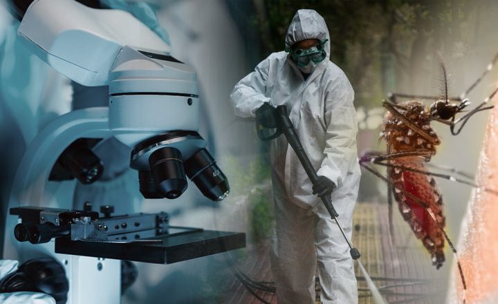 Ιός Δυτικού Νείλου: 157 κρούσματα, 13 νεκροί και 63 δήμοι στον νέο χάρτη – Πού χτυπά ο συναγερμός
