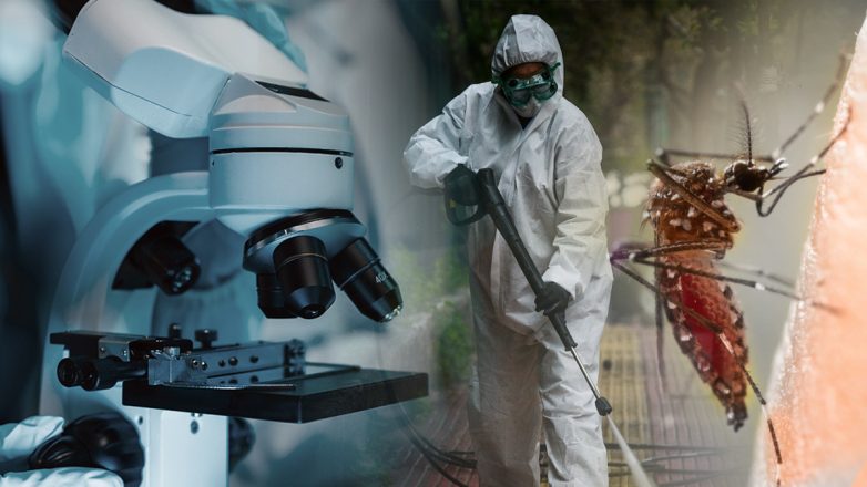 Ιός Δυτικού Νείλου: 157 κρούσματα, 13 νεκροί και 63 δήμοι στον νέο χάρτη – Πού χτυπά ο συναγερμός