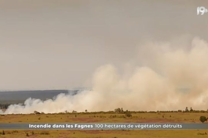Πυρκαγιά σε δασική έκταση στο Βέλγιο
