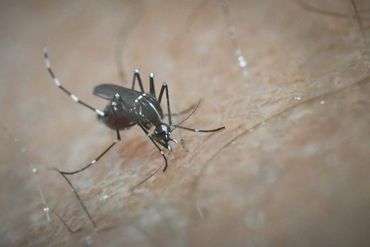 Χάρτης με τις περιοχές που εμφανίστηκαν κρούσματα ιού Δυτικού Νείλου.