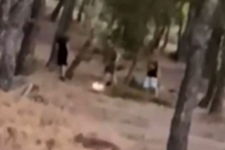 Πυρκαγιά σε δάσος στα Άνω Βριλήσσια