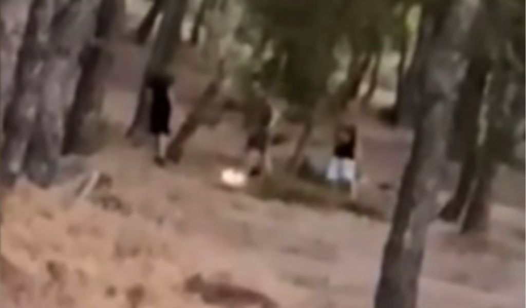 Πυρκαγιά σε δάσος στα Άνω Βριλήσσια