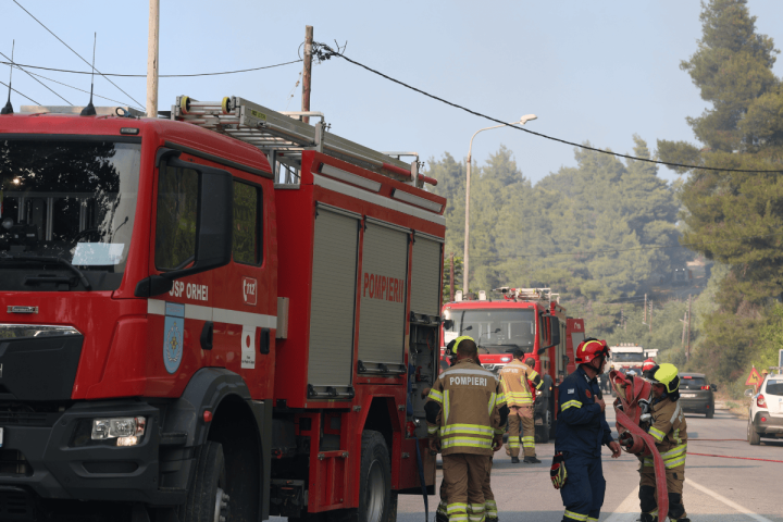 Πυροσβέστες επιχειρούν στην περιοχή του Βαθυκόιλου Φθιώτιδας για την κατάσβεση της πυρκαγιάς.