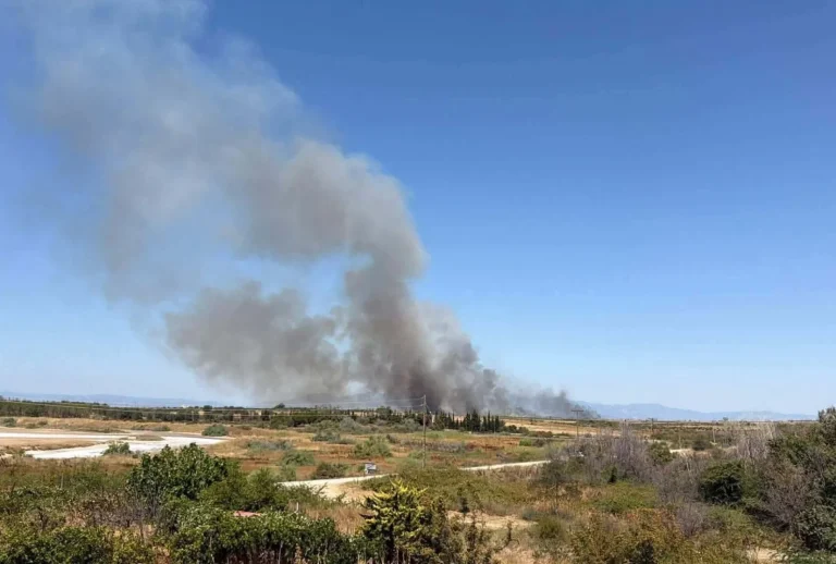 Πυροσβέστες επιχειρούν στην περιοχή του Ίμερου Ροδόπης.