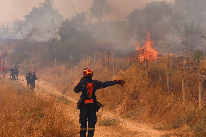 Πυροσβέστες επιχειρούν σε φωτιά στο Πήλιο.