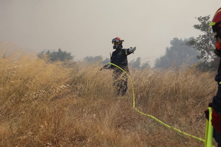Πυροσβέστες επιχειρούν στην περιοχή της Αργιθέας