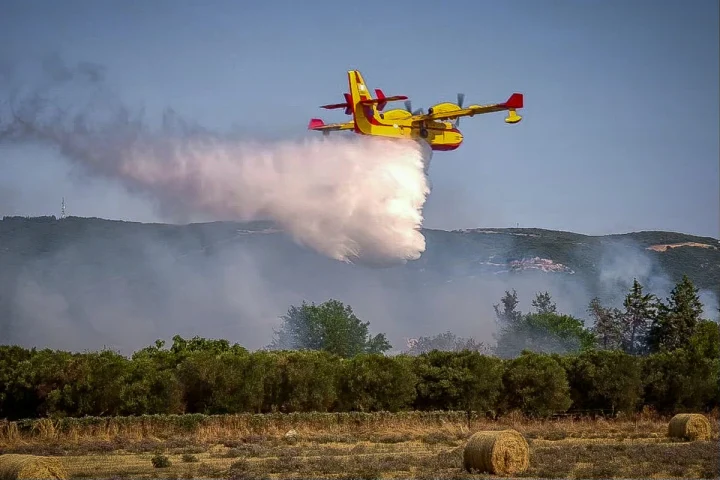 Φωτιά στο Βαθύκοιλο Φθιώτιδας
