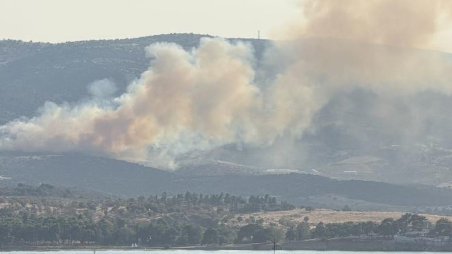 Πυρκαγιά σε εξέλιξη στην περιοχή των Αϊβαλιώτικων Βόλου