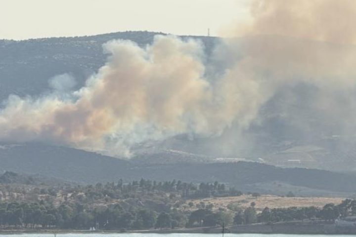 Πυρκαγιά σε εξέλιξη στην περιοχή των Αϊβαλιώτικων Βόλου