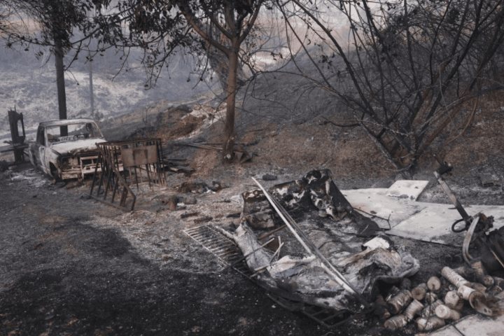 Αστυνομικοί κατά τη σύλληψη στη Χαλκιδική.