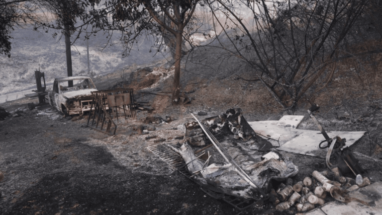 Αστυνομικοί κατά τη σύλληψη στη Χαλκιδική.