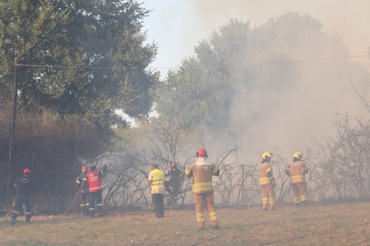 Πυροσβέστες επιχειρούν στην περιοχή της Σίβηρης Χαλκιδικής.