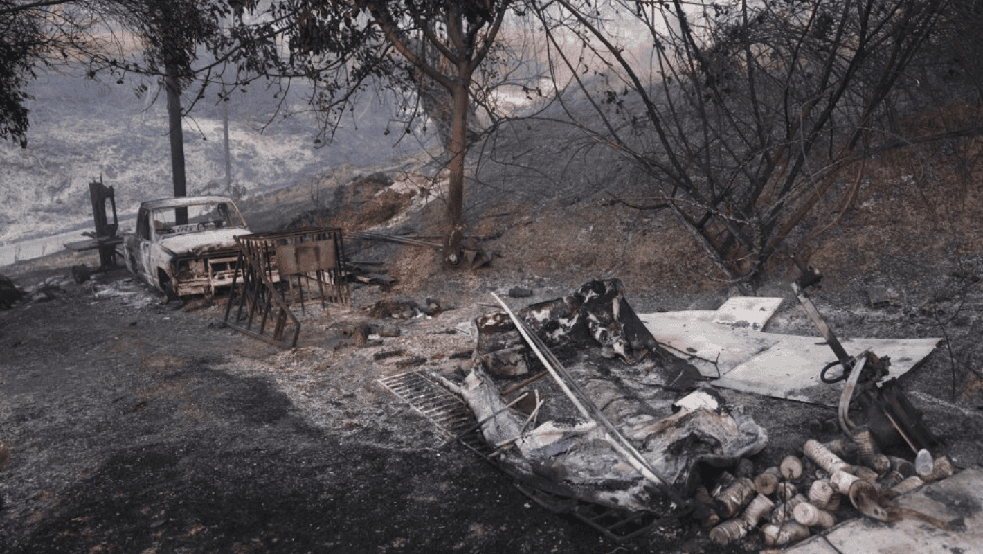 Αστυνομικοί κατά τη σύλληψη στη Χαλκιδική.